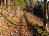 Mače - Planina Dolga njiva